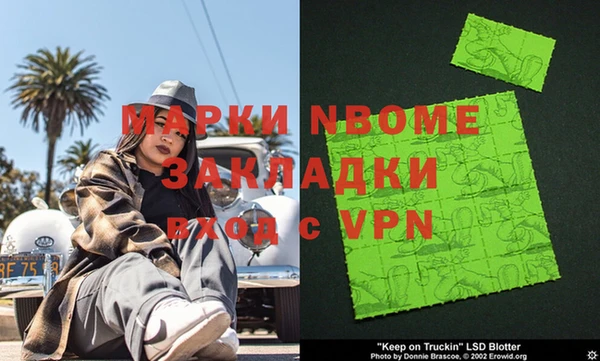 стаф Зерноград