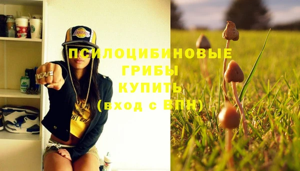 стаф Зерноград