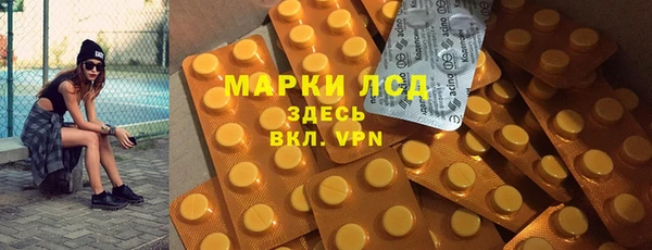 стаф Зерноград