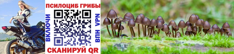 Галлюциногенные грибы мицелий  Купить закладки  Шелехов 